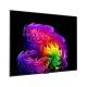 TV OLED LG 55G66LS EVO SMART AI 120Hz